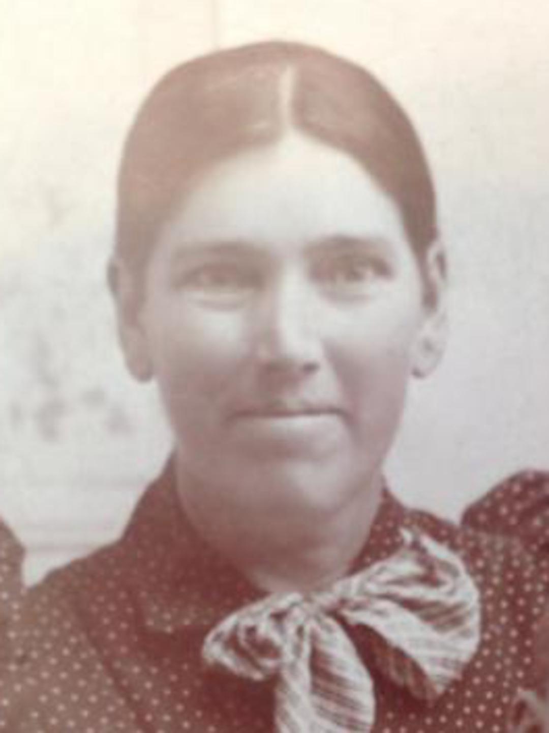 Mary Jane Ainsworth (1854 - 1916) Profile